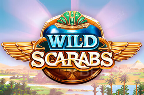 Wild Scarabs